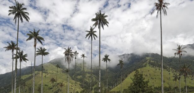 Cropped Colombia 3631740 1280